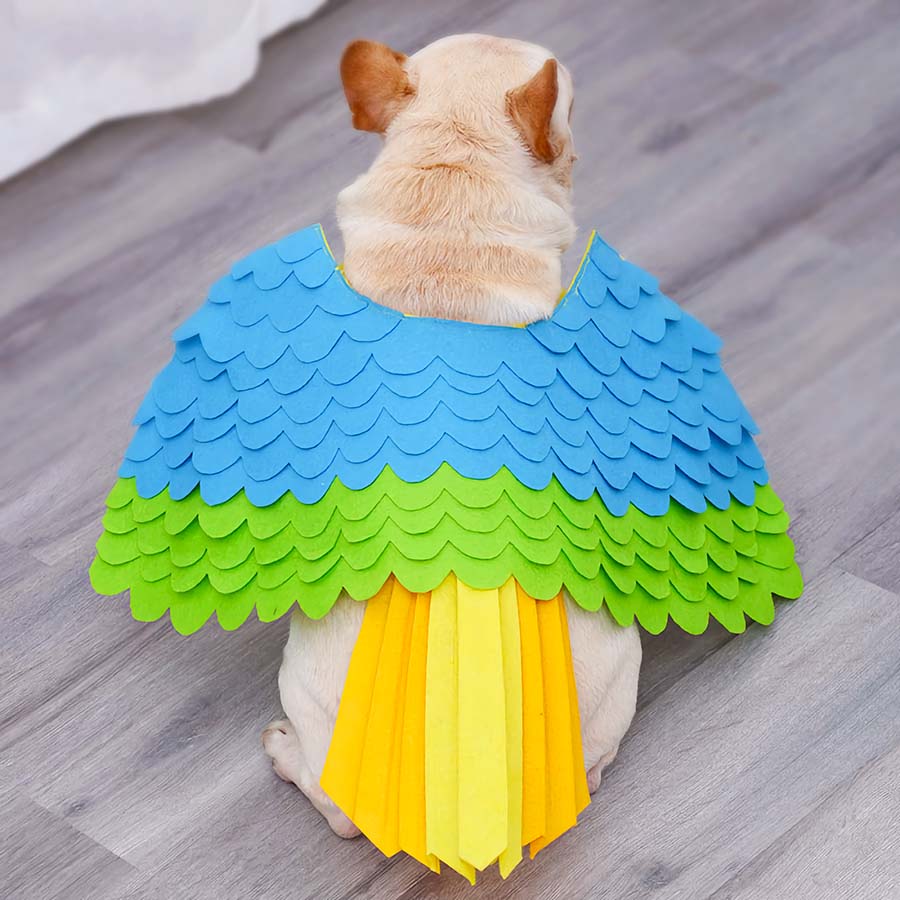 French Bulldog sitting down showing off the back of the Tropical Bird Dog Costume from online dog costume shop they made me wear it.