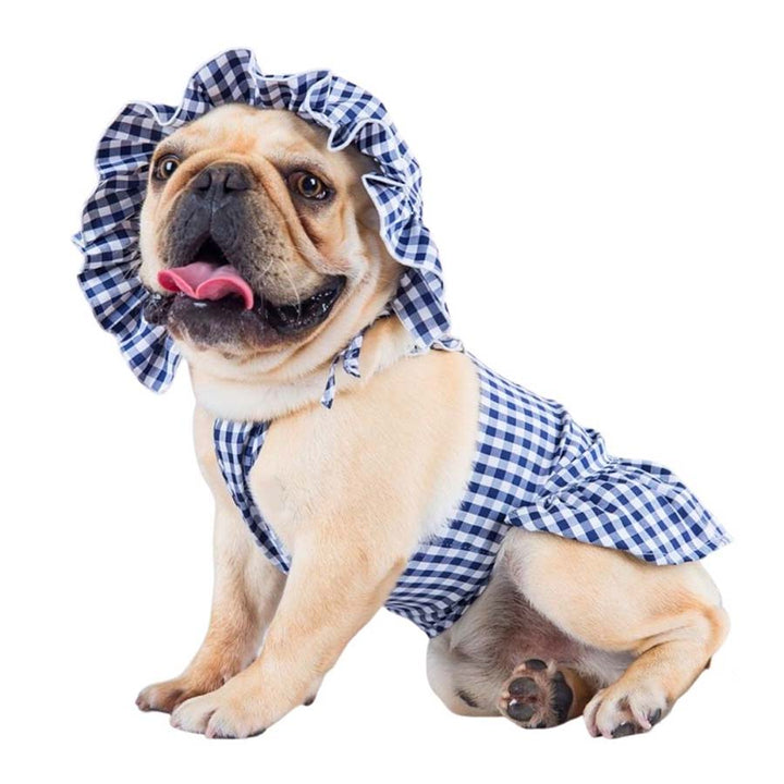 French Bulldog wearing the Blueberry Sweet Gingham Dog Dress with matching bonnet from online posh puppy boutique they made me wear it.