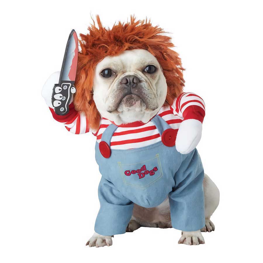 French Bulldog wearing the Chucky Doll Deadly Killer Dog Costume from online dog costume shop they made me wear it.