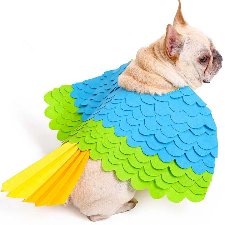 French Bulldog wearing the Tropical Bird Dog Costume from online dog costume shop they made me wear it.