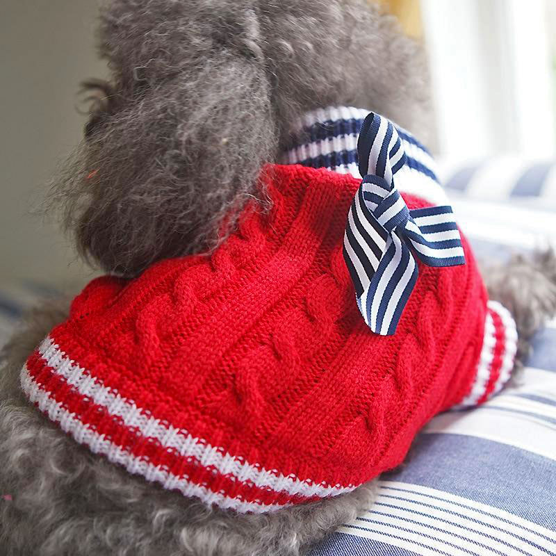 Toy Poodle wearing the Knitted Patriotic Dog Turtleneck in Dark Red from online dog clothing store they made me wear it.