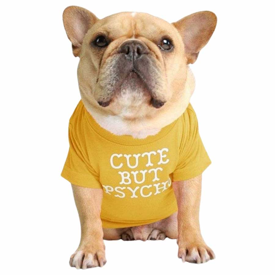 Cream French Bulldog wearing the Cute But Psycho Dog T-shirt in Mustard from online dog clothing store they made me wear it.