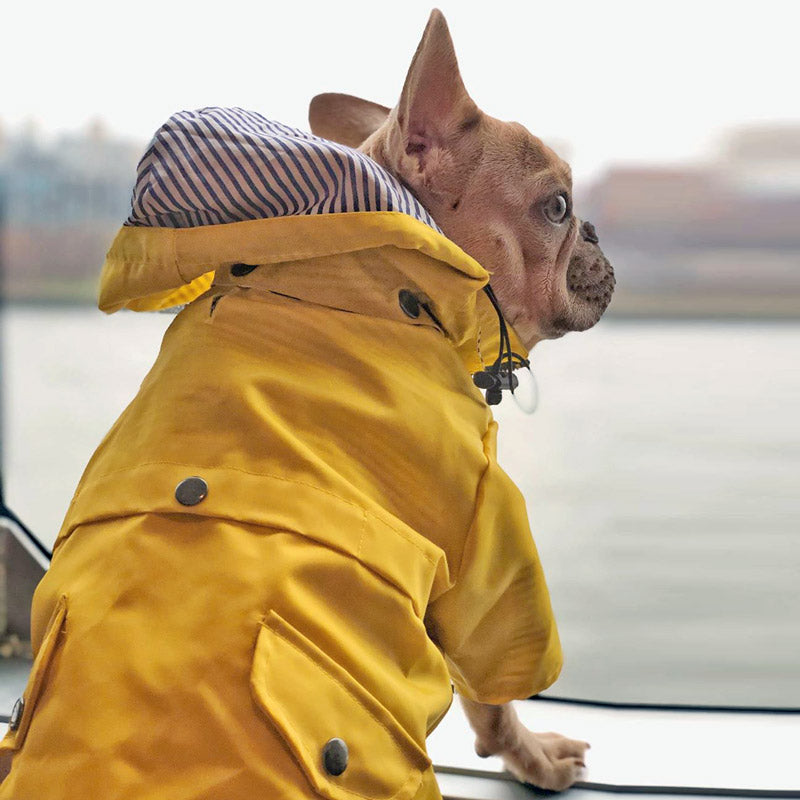 Nautical Dog Raincoat