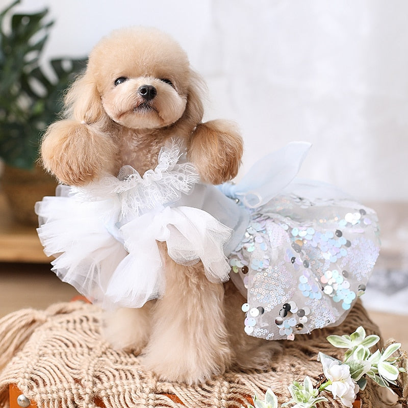 Tweed dog dress with tutu skirt – RosaliePets
