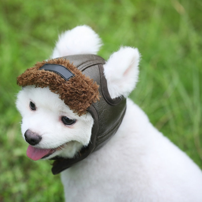 Dog Aviator Hat