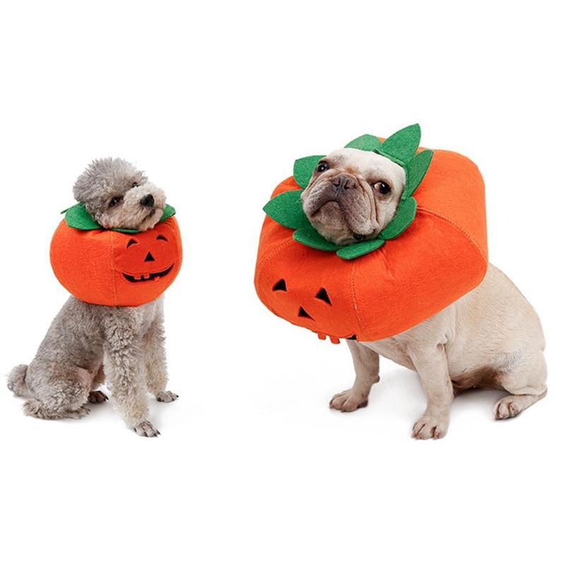 Pumpkin Dog Collar Costume
