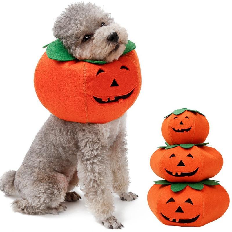 Pumpkin Dog Collar Costume