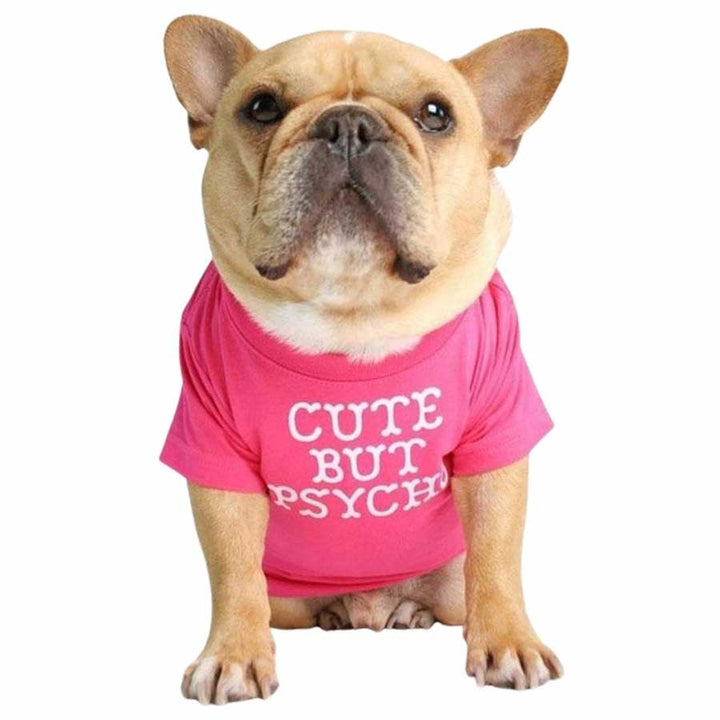 Cream French Bulldog wearing the Cute But Psycho Dog T-shirt in Rose from online dog clothing store they made me wear it.
