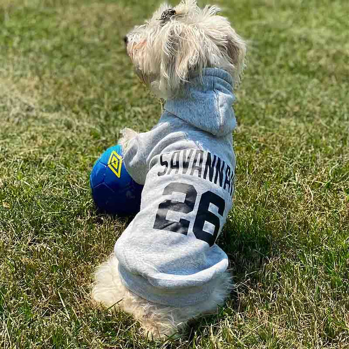 Adorable Schnoodle named Savannah or aka @savannah_the_schnoodle on Instagram is wearing Neutral Gray Personalized Dog Hoodie from online dog clothing store they made me wear it.