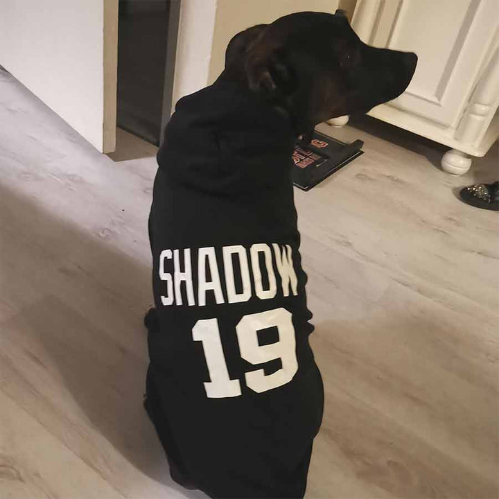 Black Pitbull named Shadow wearing the Personalized Dog Hoodie available in Ebony customize the hoodie with your dog's name from online dog clothing store they made me wear it.