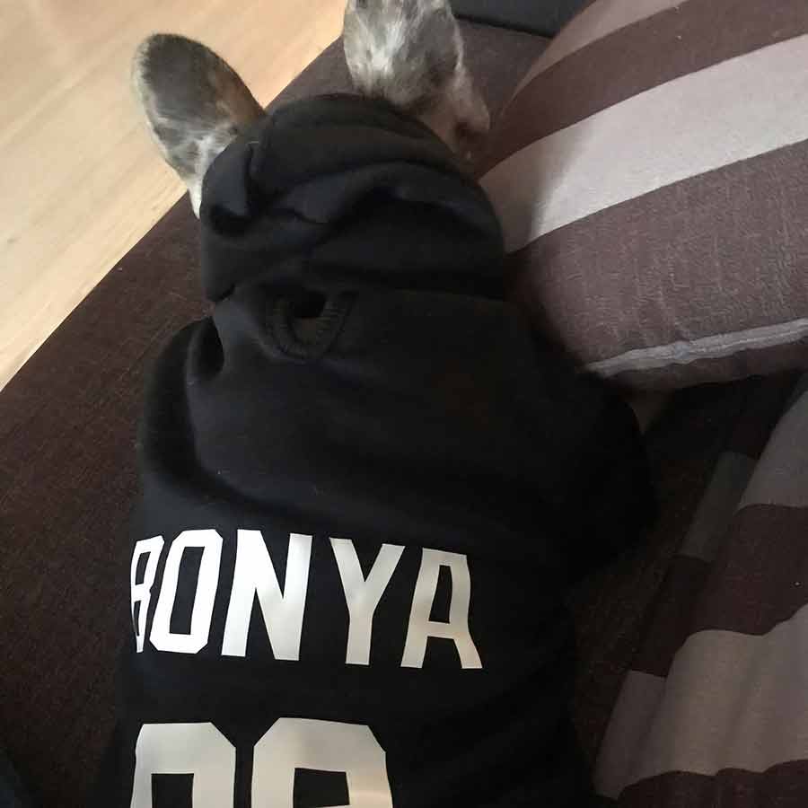 Brindled French Bulldog named Sonya is wearing the Personalized Dog Hoodie available in Ebony customize the hoodie with your dog's name from online dog clothing store they made me wear it.