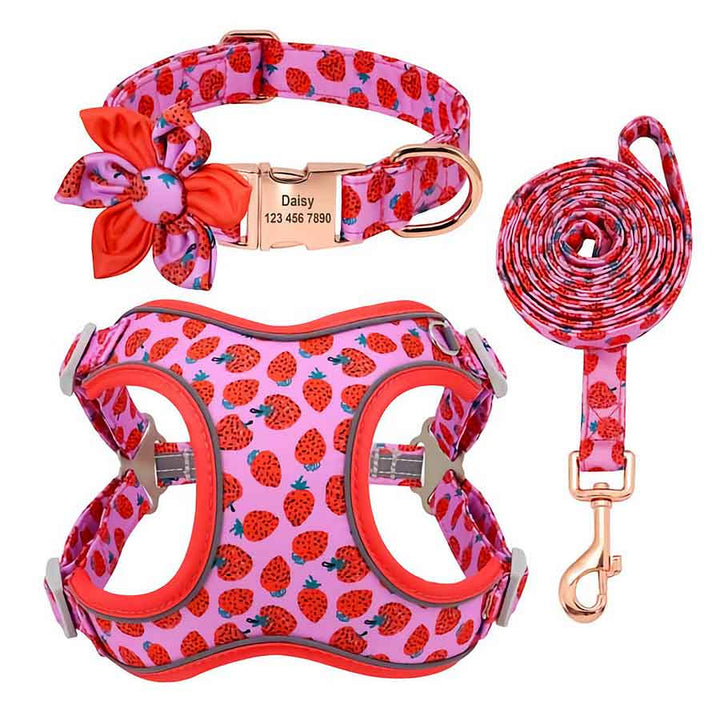 Yummy Dog Matching Harness, Collar & Leash Set available in Strawberry Delight print, for small and medium dogs, from online dog clothing store they made me wear it.