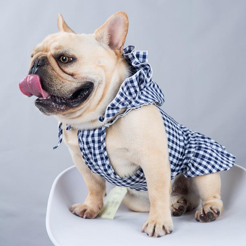 French Bulldog wearing the Blueberry Sweet Gingham Dog Dress bonnet from online posh puppy boutique they made me wear it.