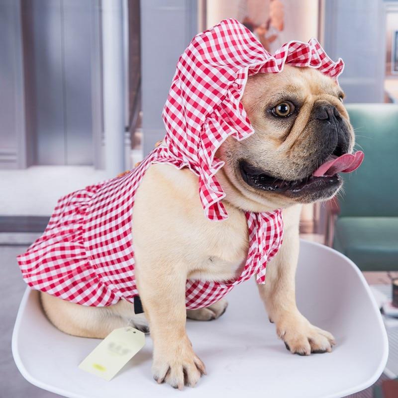 French Bulldog wearing the Cherry Sweet Gingham Dog Dress with matching bonnet from online posh puppy boutique they made me wear it.