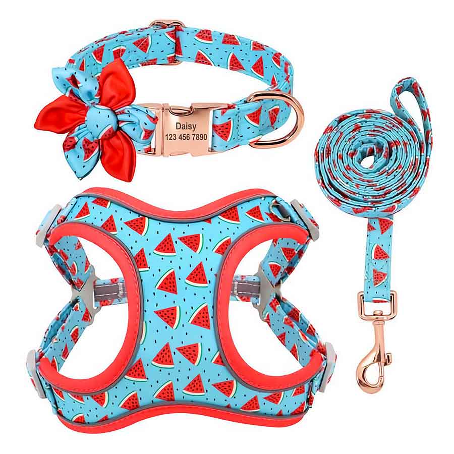 Yummy Dog Matching Harness, Collar & Leash Set available in Sweet Watermelon print, for small and medium dogs, from online dog clothing store they made me wear it.
