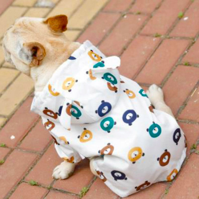 Teddy Bear Doggy Rain Jacket