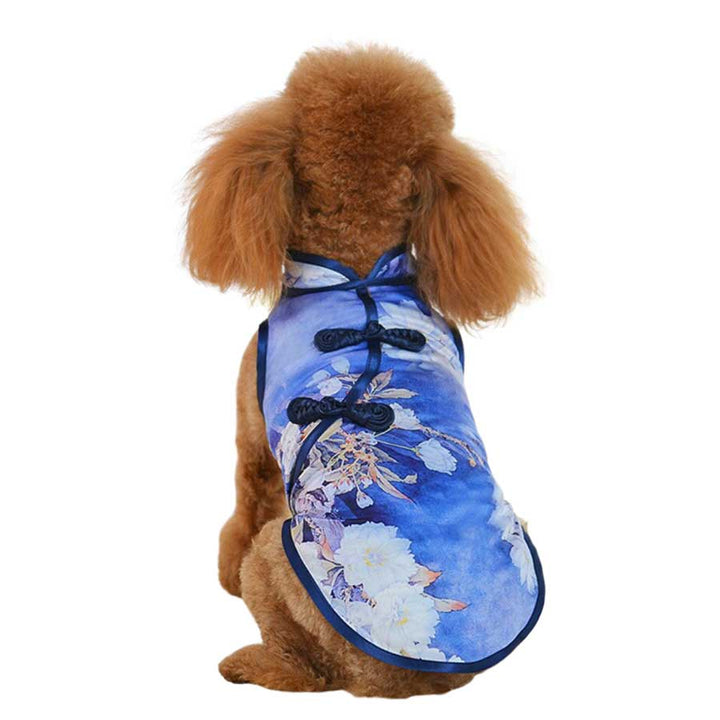 Toy Poodle wearing the Sapphire Traditional Qipao Chinese Cheongsam Dog Dress, back view, from online posh puppy boutique they made me wear it. 