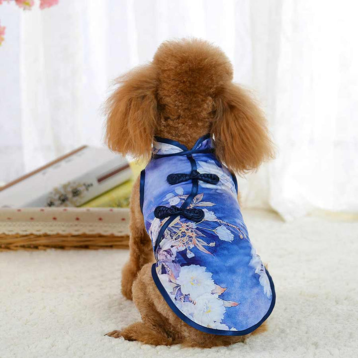 Toy Poodle wearing the Sapphire Traditional Qipao Chinese Cheongsam Dog Dress, back view, from online posh puppy boutique they made me wear it. The perfect dog dress or traditional costume for a Toy Poodle, Yorkshire Terrier, Chihuahua, Havanese and other small dog breeds.