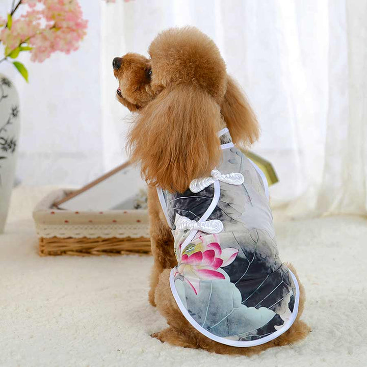 Toy Poodle wearing the Slate Traditional Qipao Chinese Cheongsam Dog Dress, back view, from online posh puppy boutique they made me wear it. The perfect dog dress or traditional costume for a Toy Poodle, Yorkshire Terrier, Chihuahua, Havanese and other small dog breeds.