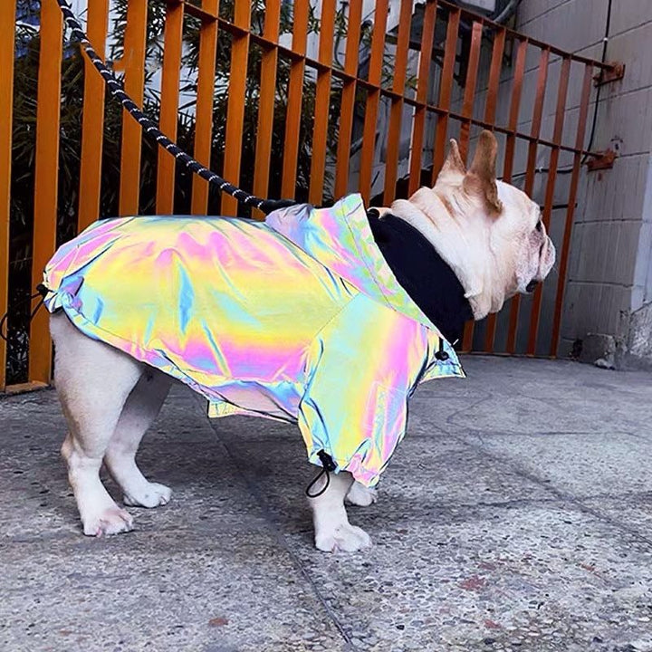 French Bulldog standing up, wearing the adorable and trendy Reflective Dog Rain Jacket from online dog clothing store they made me wear it.