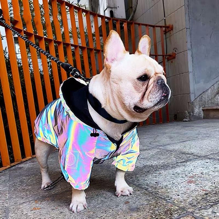 French Bulldog wearing the adorable and trendy Reflective Dog Rain Jacket from online dog clothing store they made me wear it.