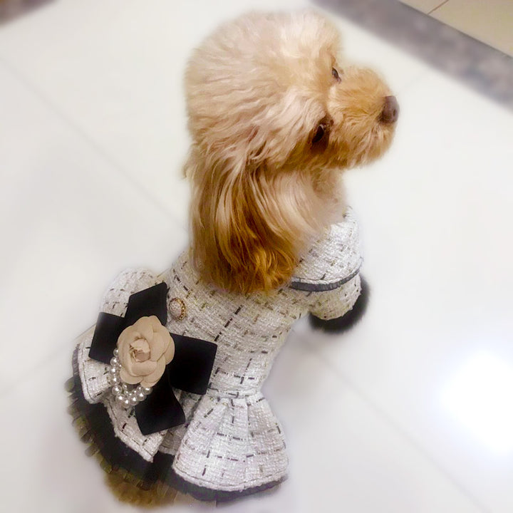 Vintage Tweed Dog Dress