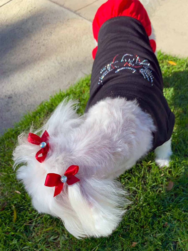 Willow, a Bichon Frise, Maltese and Havanese mix, showing off her red bows wearing the adorable Licorice Scarlet Little Angel Dog Dress from online posh puppy boutique they made me wear it.