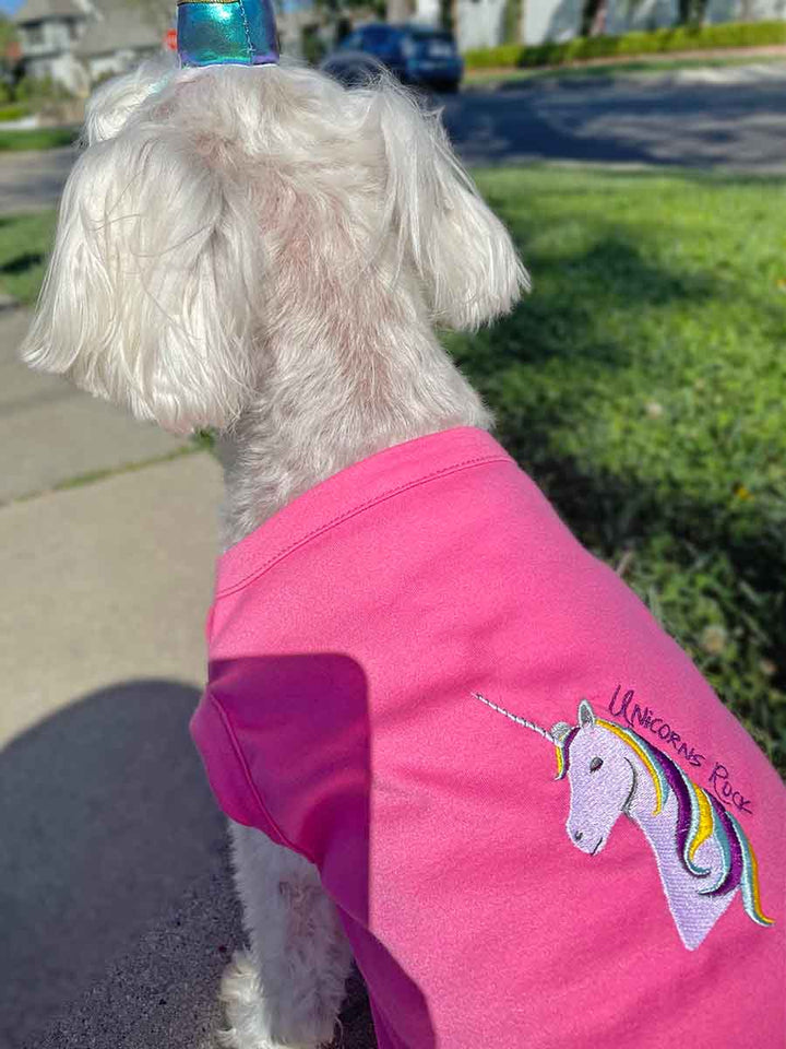 Willow, a Bichon Frise, Maltese and Havanese mix, sitting down and wearing Unicorn Horn Hat and the adorable Hot Pink Embroidered Unicorns Rock Hot Pink Dog Tee from online dog clothing store they made me wear it.
