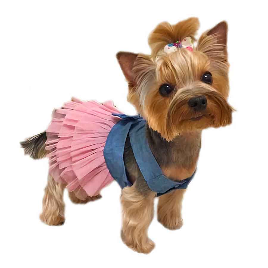 Yorkie wearing beautiful Princess Tulle Lace Dog Dress available in Pink Jean Tutu from online dog clothing store they made me wear it.