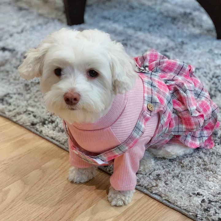 Zara, an adorable Maltese, sitting down on the carpet wearing the Pretty in Pink Dog Romper and Turtleneck from online posh puppy boutique they made me wear it.
