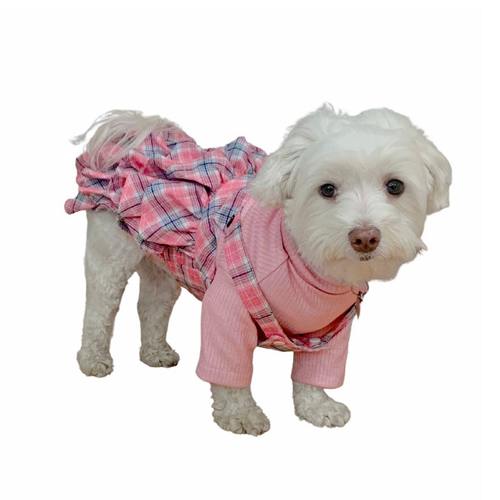 Zara, an adorable Maltese wearing the Pretty in Pink Dog Romper and Turtleneck from online posh puppy boutique they made me wear it.